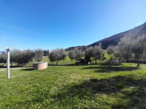 Casal dei Colli